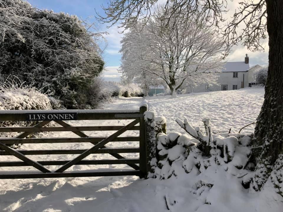 Llys Onnen - North Wales Holiday Cottage Mold Exterior foto