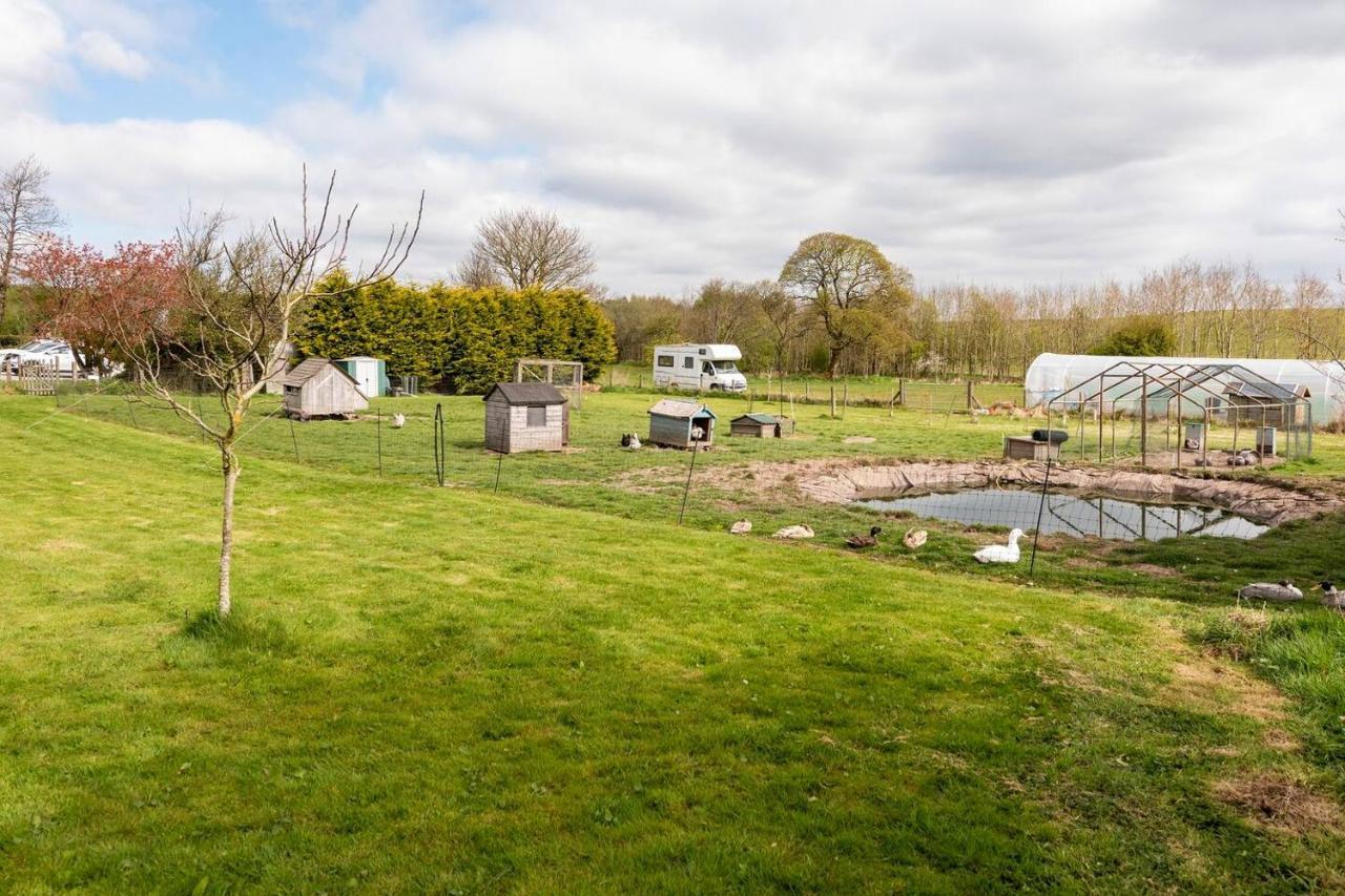 Llys Onnen - North Wales Holiday Cottage Mold Exterior foto